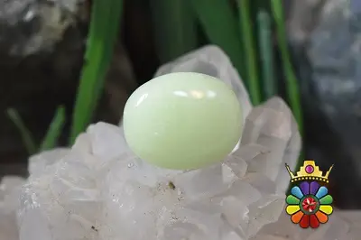 فسفریت شب نما