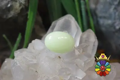 فسفریت شب نما