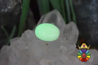 فسفریت شب نما