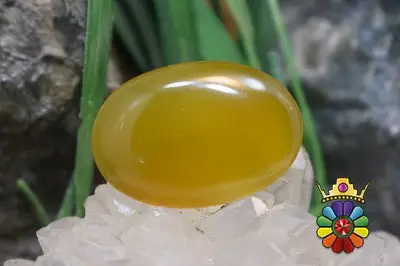 عقیق شرف شمس اصل