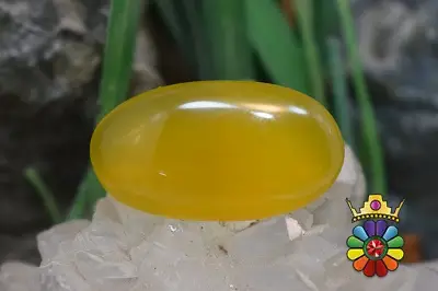 عقیق شرف شمس اصل