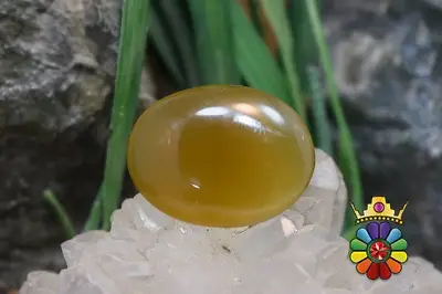 عقیق شرف شمس اصل