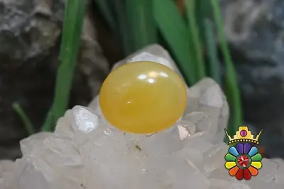 عقیق شرف شمس اصل